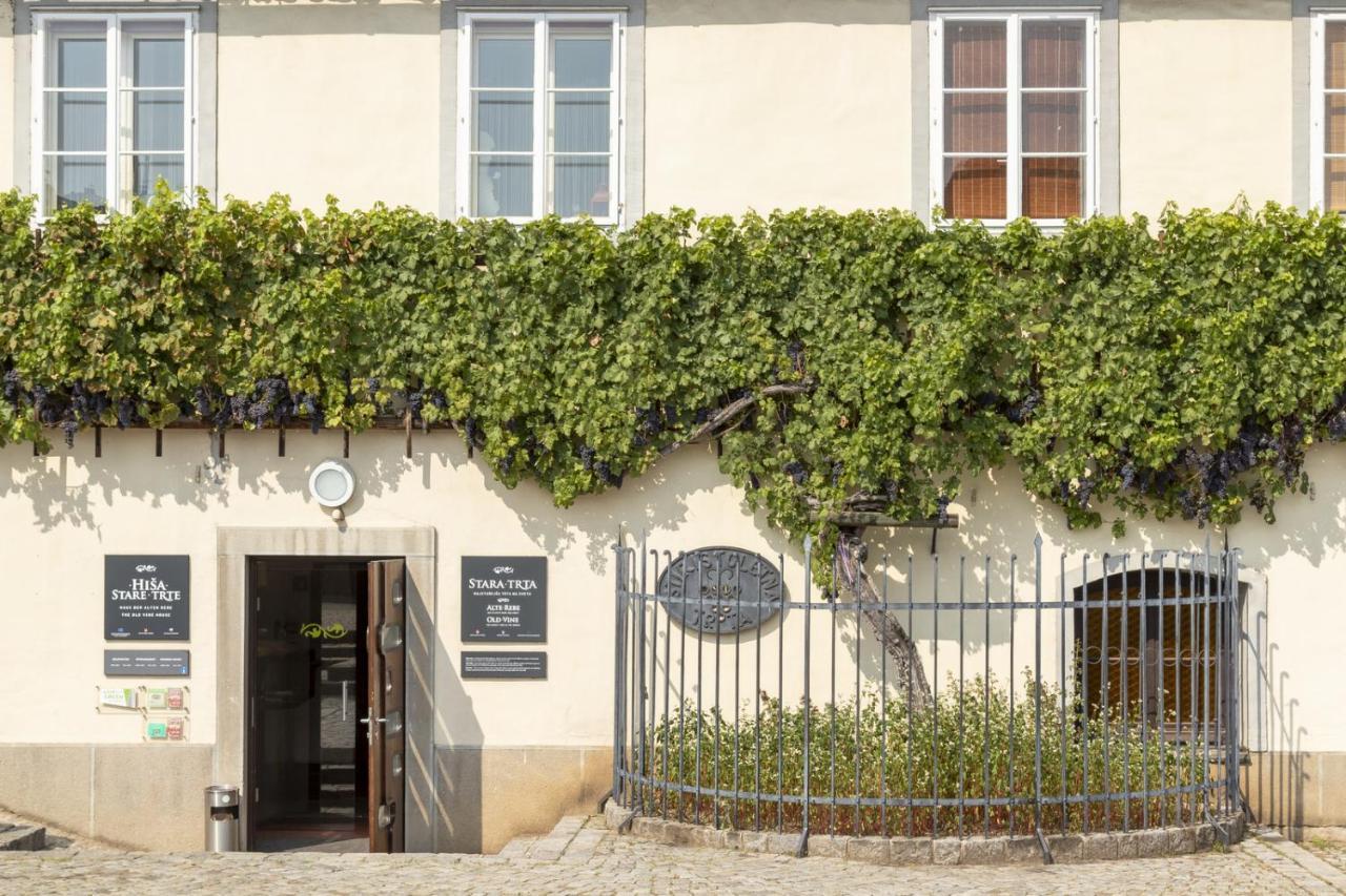 Amazing Apartment In Downtown Marburg Exterior foto